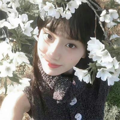 血战红河